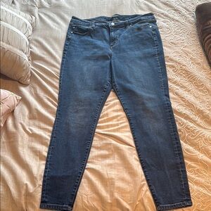Liverpool Blue Skinny Jeans